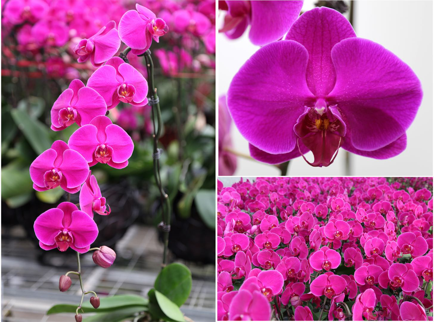 图片2.png 图片2.png